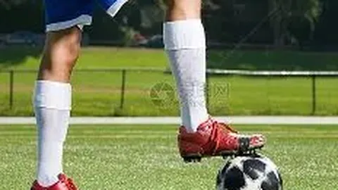 小S力证：未遭丈夫家暴，他实为好人一枚